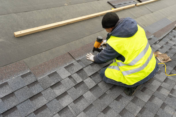 Best Gutter Installation and Roofing  in Roselle, IL
